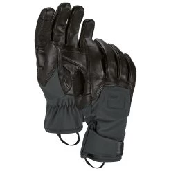 Ortovox Alpine Pro Glove - Gloves
