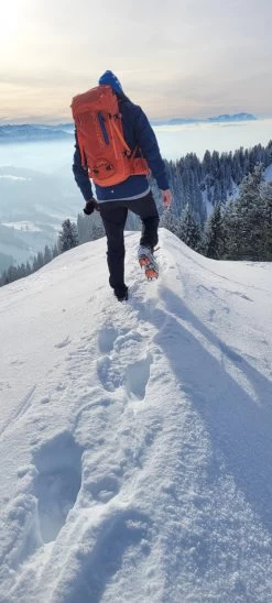 Ortovox Peak 35 - Mountaineering Backpack -Ortovox Outdoor Sales Store ortovox peak 35 tourenrucksack 479eeaaef0ad34f8d4b20e458b7c94a1 1